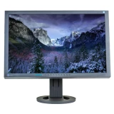 Monitor 24 inch LCD, Full HD, EIZO FlexScan S2402W, Black, Display Grad B - imaginea 1