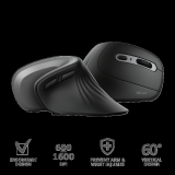 Mouse Wireless Trust Verro, 1600 dpi, Multicolor, 1 An Garantie
